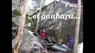 EL GAUHARA - ZILLERTAL