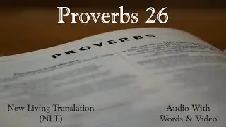 Proverbs 26 - Holy Bible - New Living Translation (NLT) Audio Bible With Video