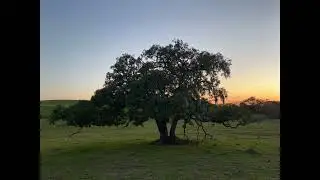 Exploring Crane Creek Regional Park, Sonoma County, CA (4/15/2023 - Part 2)