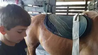 Making your bareback pad more comfortable. VIDEO #8