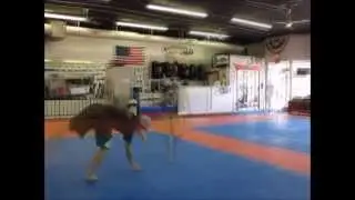 8 12 14 tricking Andrew McVicker