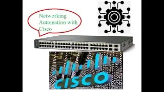 Telnet Cisco Router using Bash Script | Automation | EVE-NGN