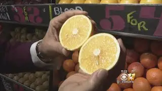 Fresh Grocer: Valencia Oranges Perfect For Juicing