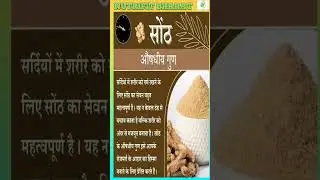 Medicinal Properties of Dry Ginger Powder (Sonth) | Benefits for Cough, Gas, Joint Pain & Weightloss