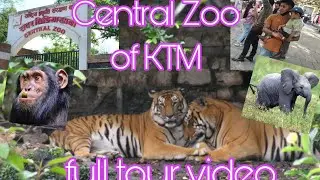 KTM CENTRAL ZOO full tour  video 📷