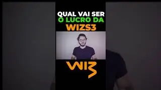 QUAL VAI SER O LUCRO DA WIZ?