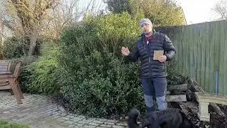 Hedgehog Highways