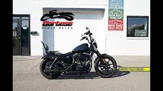 M2028A 2019 Harley-Davidson LX1200 NS Iron
