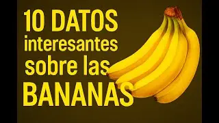 10 DATOS interesantes sobre las BANANAS🍌🍌