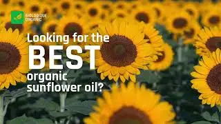 Bulk Organic Sunflower Oil: FAQ for Restaurants and Food Manufacturers