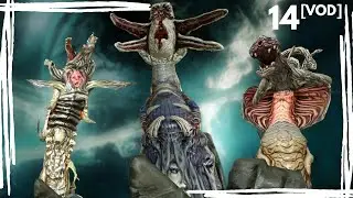 Nightwaves, Lephantis and Circuit [VOD]