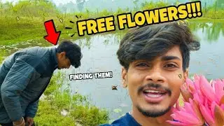 Lotus kaha mila Aaj 🥰