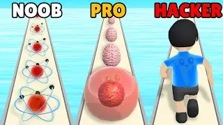 NOOB vs PRO vs HACKER in Evolve Run