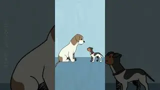 a dog animation compilation #dog #animation