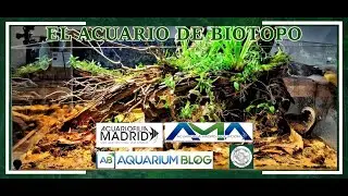 El acuario de Biotopo, por Álvaro @AquariumBlog