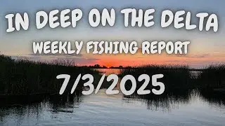 The In Deep On The Delta Weekly Fishing Report For 7/3/2025.