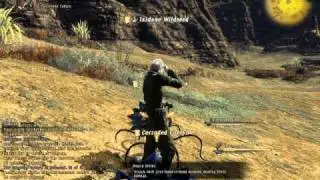FFXIV Levequest