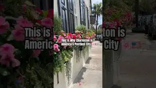 POV: You&rsquo;re strolling through Charleston&rsquo;s dreamiest streets ✨ #chs #charleston #southerncharm