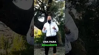 Justificar tu precio te hace ver d&eacute;bil. &iexcl;Ev&iacute;talo!