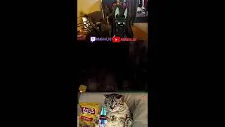 [18+] Walkin Dead with Trey 4