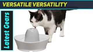 PetSafe Ceramic Pet Fountain: Top Choice for Hydration!