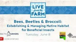 Bees, Beetles & Broccoli: Establishing & Managing Native Habitat for Beneficial Insects