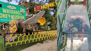 Wayanad in Kerala, glass bridge and honey museum explore natural honey and nature..