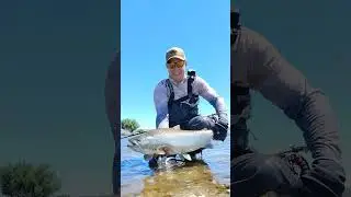 Un juego epico! pesca con mosca!
