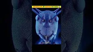🤯MICROSCOPE की khatarnak 😵 PICTURES || PR FACTTS || #trending #facts #shorts