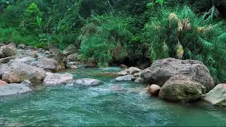 4K-HDR | Peaceful River Soundscape for Sleep | Natural Water Ambience for Stress Relief & Deep Calm