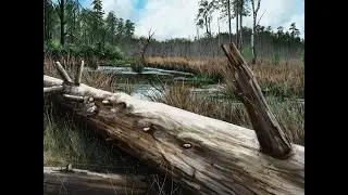 Corel Painter. Painting Nature. Time- Lapse