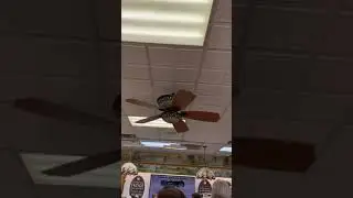 Harbor breeze Cambridge ceiling fan at a  fudge shop  (2021 remake)