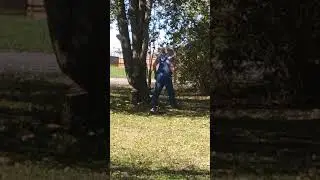 Tree Felling | Salem Master 6220f Chainsaw