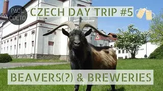 Czech Day Trip #5: BENE&Scaron;OVSKO, NUTRIE & PIVOVAR VELK&Eacute; POPOVICE 🐾🍻🇨🇿 (27.7km)