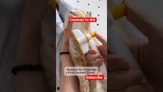 Best Pet Flea Comb 2025 | Remove Fleas, Tangles & Loose Hair Easily #softpaws #petsnail #puppycare
