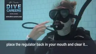 SKILL CIRCUIT REGULATOR RECOVERY