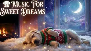 DEEP SLEEP MUSIC FOR DOGS🐶Dogs Music for Sweet dreams 🎵ANTI-ANXIETY PIANO SOUNDS for Dogs!