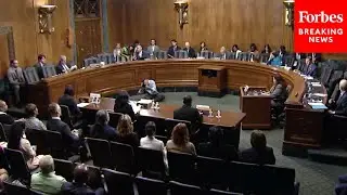 Biden Judicial Nominees Face Senate Judiciary Committee