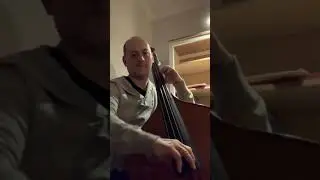 Another Budapest bass