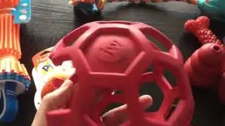 Dog Toy Destruction Part 1