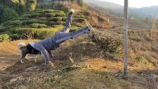 Morning walking towards Dilaram tea estate.