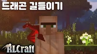 드래곤 길들이기