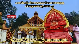 അപൂർവ തെയ്യം നാഗകന്യക,എടനാട് കണ്ണങ്ങാട്ട് #theyyam #kannur #viral #tulunadu #vlog #kerala #naga #red