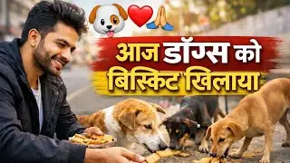 🐶 आज शाम को कुत्तों को बिस्किट खिलाया ❤️ | Street Dogs