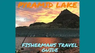 Pyramid Lake what you need to know before you go fishing permits inspections regulations essentials