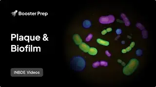 Periodontics | Plaque & Biofilm | INBDE, NDEB, ADAT