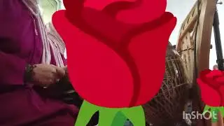فرقة نسوية المديح النبوي تحيي جميع الحفلات مرحبا بالجميع 