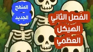 الجهاز الهيكلي |الاحياء| الصف الثالث متوسط 