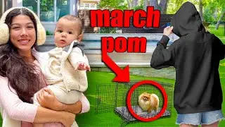 У неё есть мартовский помпон?? | Фамилия Даймонд