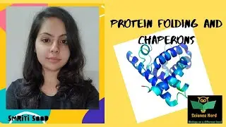 Protein folding and chaperons